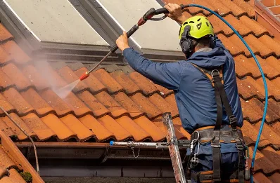 Démoussage et hydrofuge de toiture à Domvallier